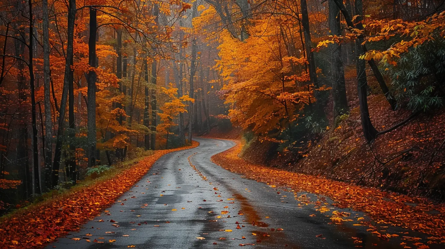Capturing the Magic of Autumn in the Great Smoky Mountains
