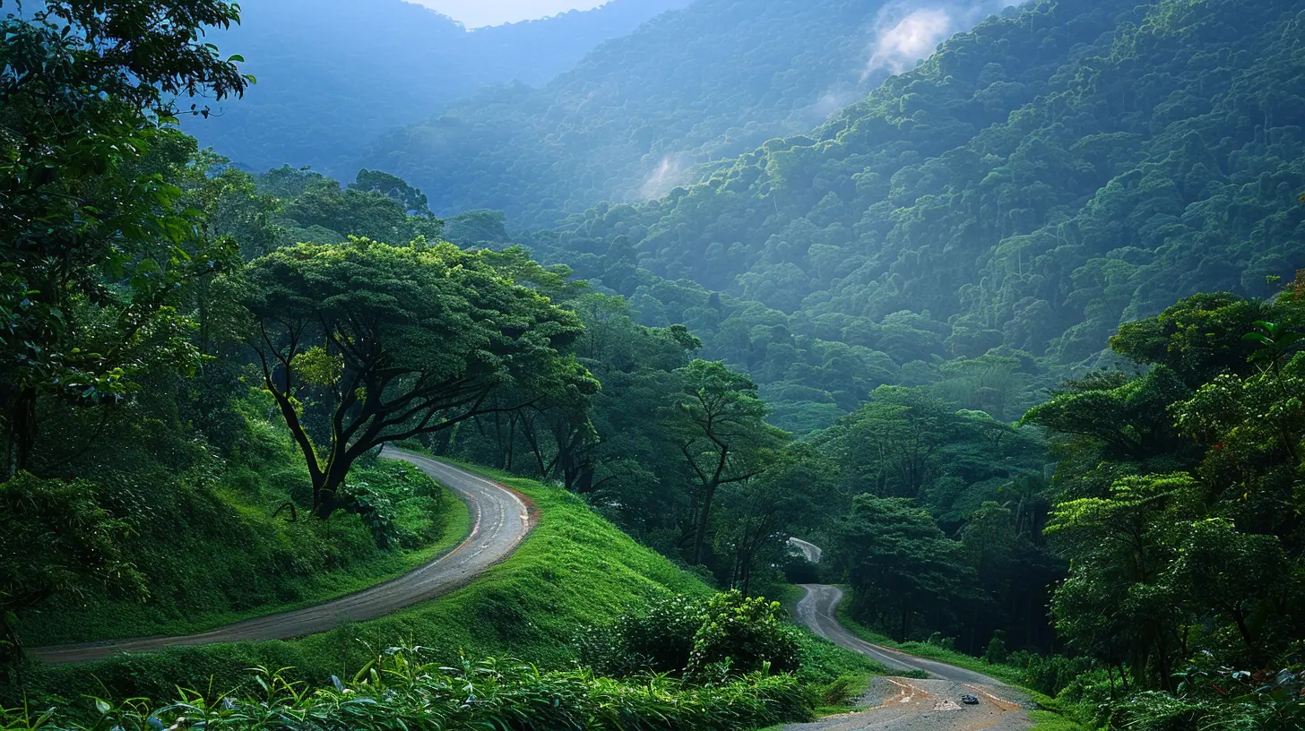 Forest Trails That Lead to Breathtaking Scenic Vistas