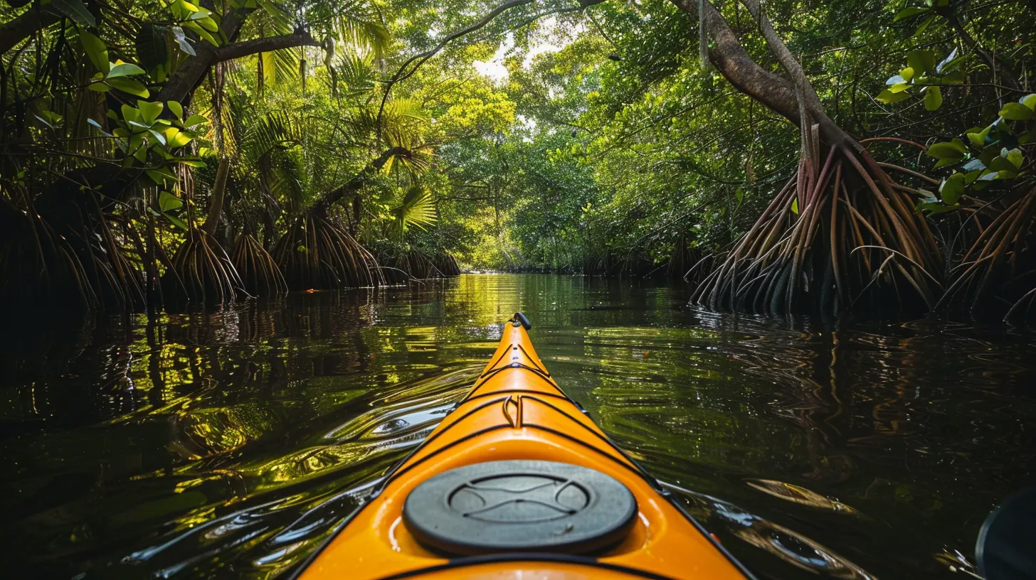 Kayaking Through the Untouched Beauty of Everglades National Park