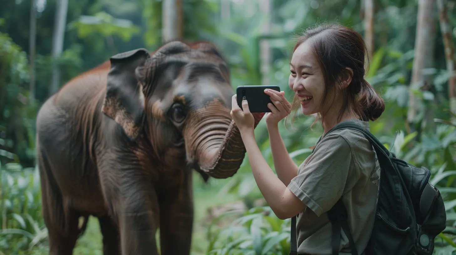 Responsible Wildlife Encounters: Sustainable Ways to See Animals in the Wild