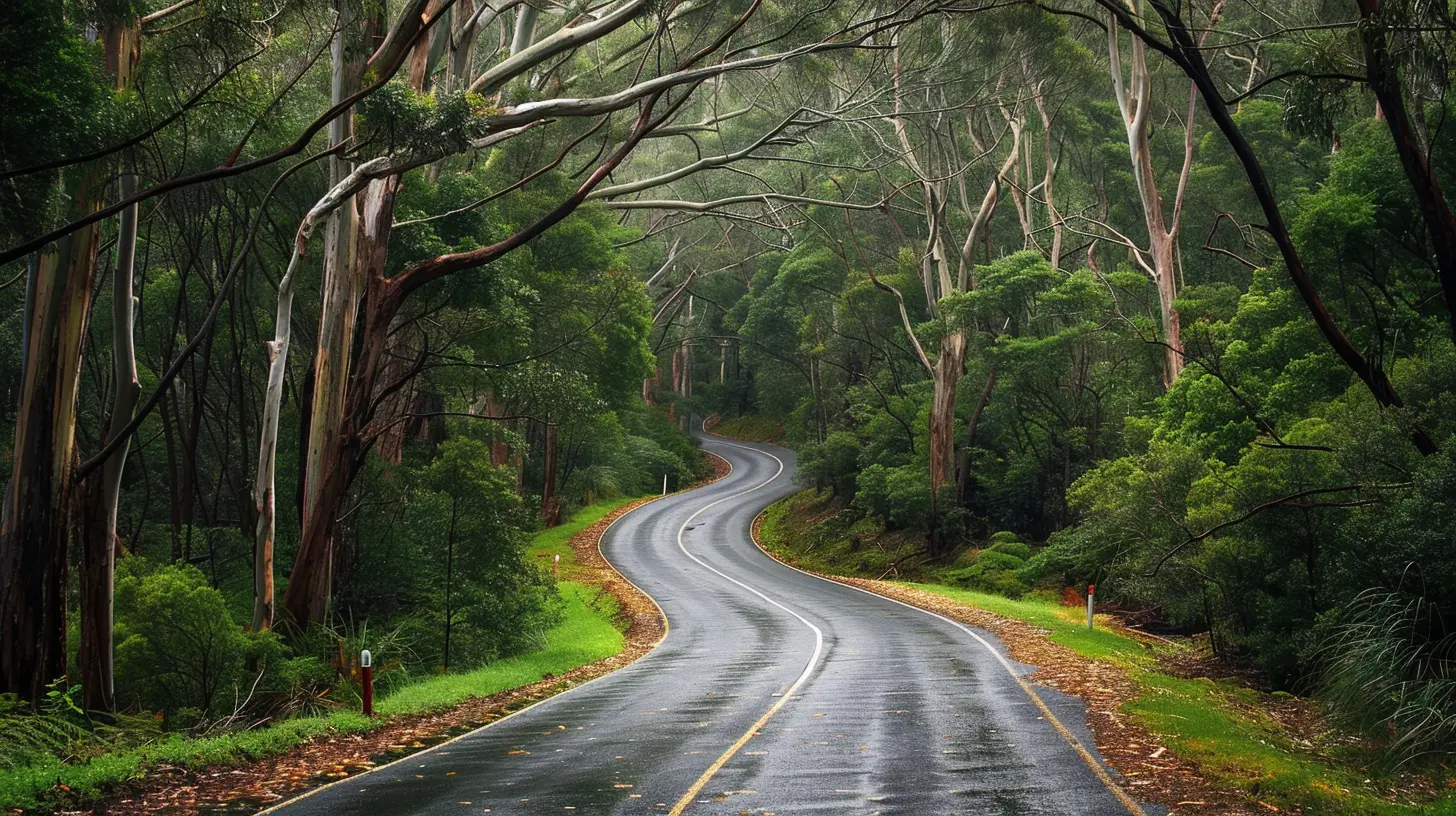 Scenic Road Trips Perfect for Group Travelers