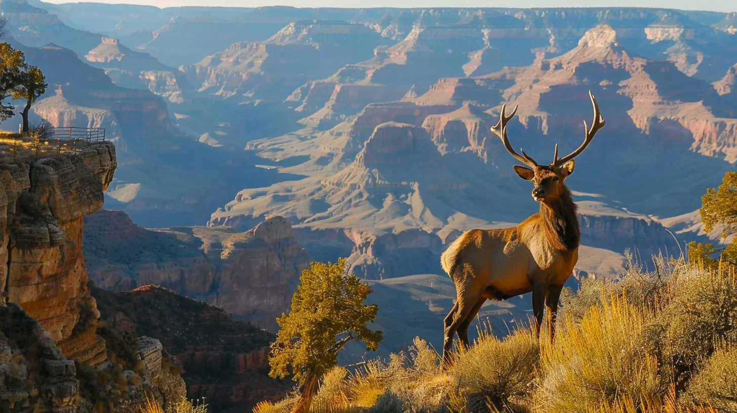 Top Ranger Programs You Shouldn’t Miss in National Parks