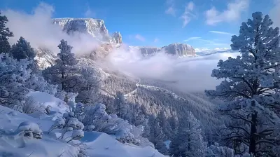 A Winter Wonderland: Visiting Rocky Mountain National Park in the Snow