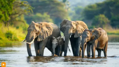 Amazing Wildlife Trips that are Perfect for Group Travel