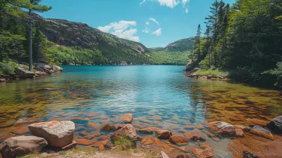 How To Maximize Your Time In A Weekend At Acadia National Park