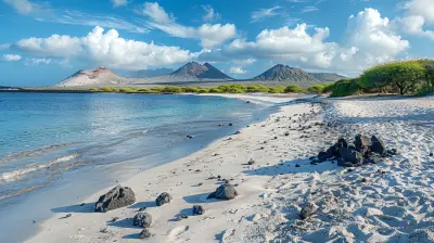 Island Hopping in the Galápagos: A Wildlife Lover’s Paradise