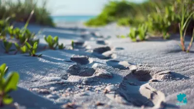 Leave Only Footprints: How to Reduce Your Environmental Impact While Traveling