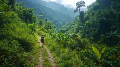 Lost In Nature Quiet Trails For The Perfect Weekend Escape