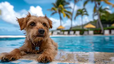 Pet-Friendly All-Inclusive Resorts You and Your Furry Friend Will Love