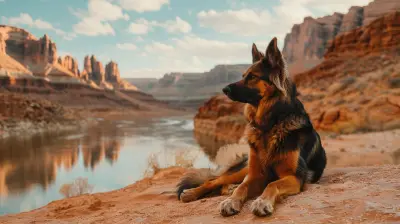 Planning the Perfect National Park Trip with Your Dog