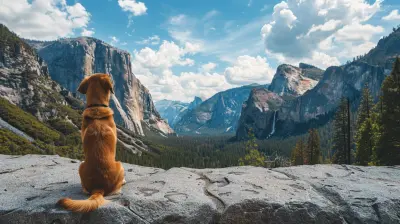 Planning the Perfect National Park Trip with Your Dog