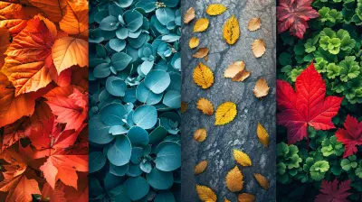 Seasonal Escapes: Experience Nature’s Changing Palette