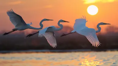 The Best National Parks for Birdwatching Enthusiasts