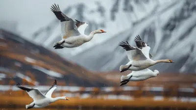 The Best National Parks for Birdwatching Enthusiasts