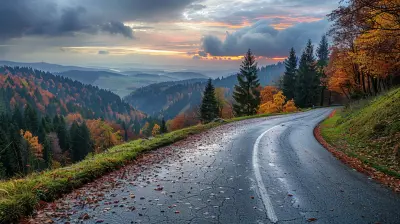 The Best of the Black Forest Route in Germany for 2026