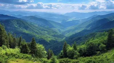 The Best of the Black Forest Route in Germany for 2026