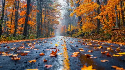 The Best Time to Visit National Parks for Fall Foliage
