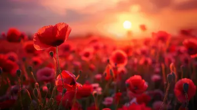 The Wildflower Bloom Spectacles of the National Parks
