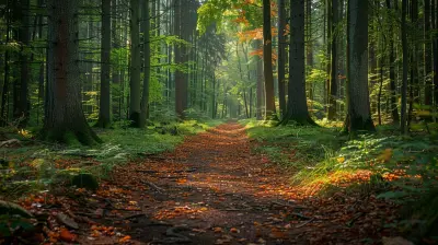 Wander Through Enchanting Forests: A Guide to Untouched Woodlands